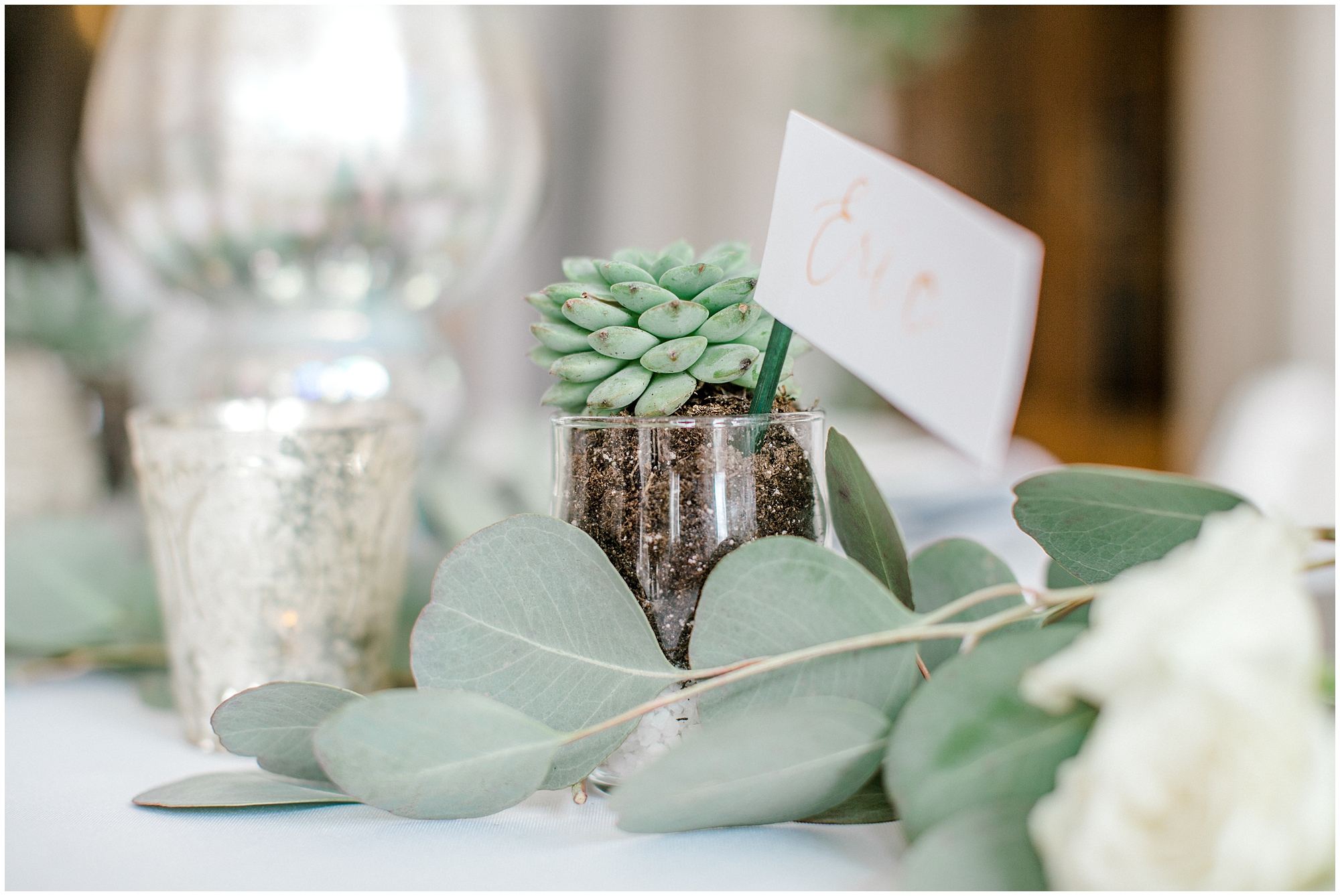 succulents as winter wedding favors